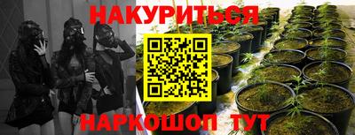каннабис Краснознаменск